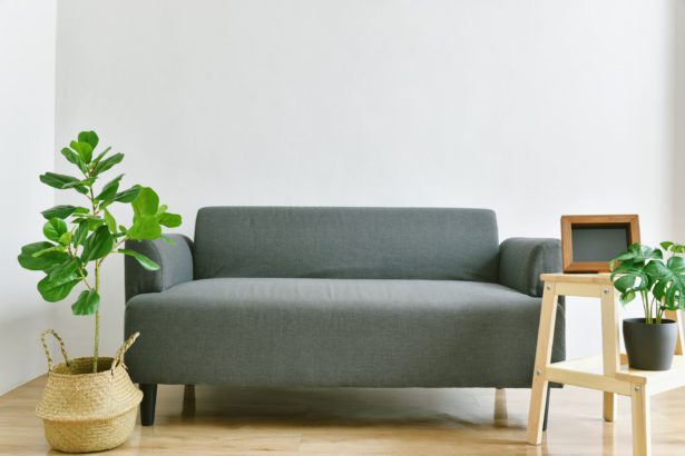 Living room interior design